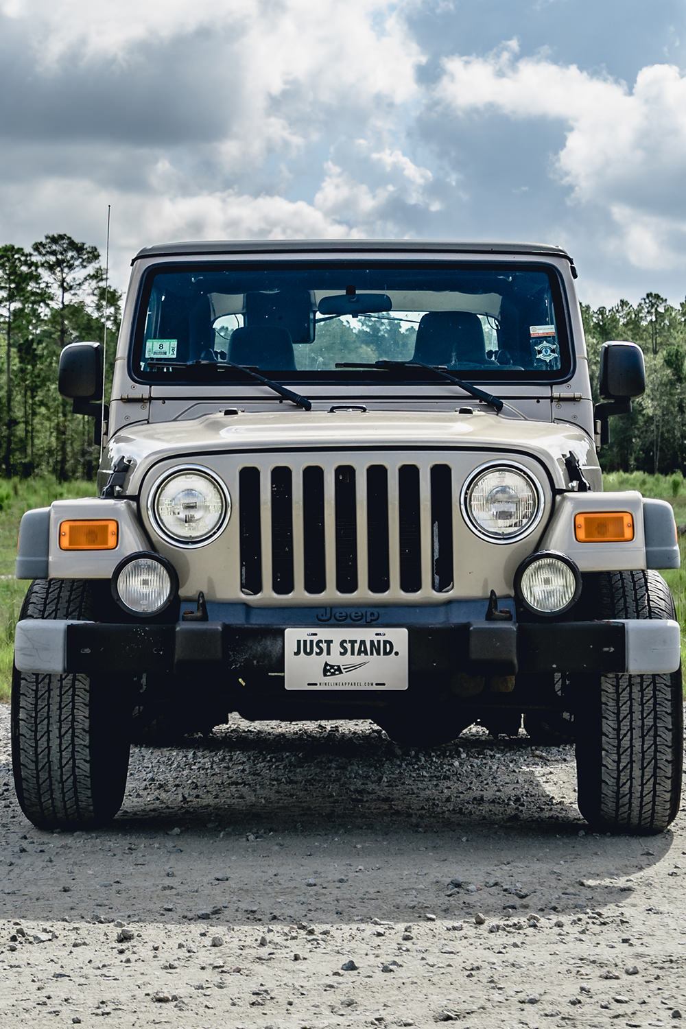 License Plate - Just Stand - Nine Line Apparel