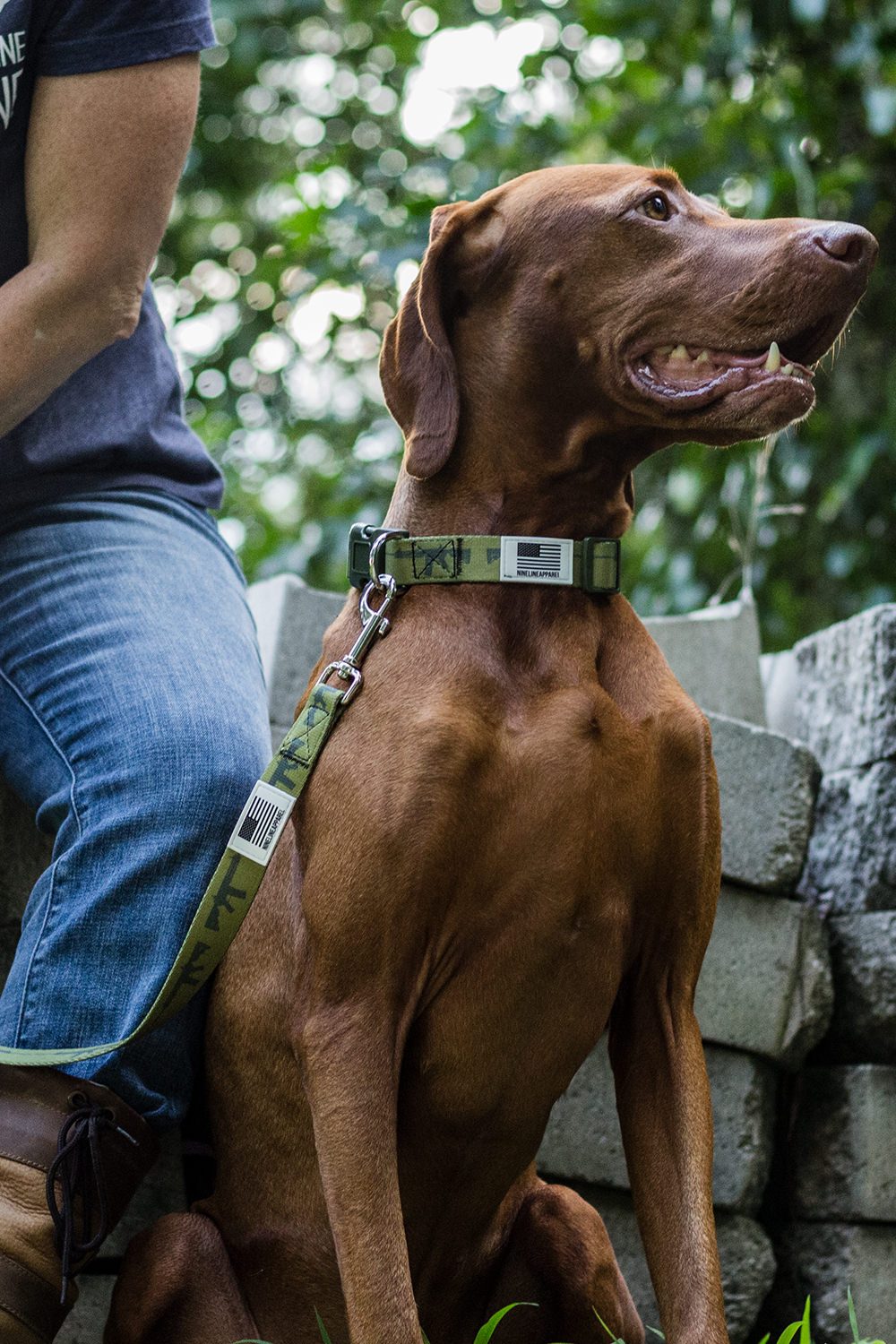 Nine Line Dog Leash Collection - Nine Line Apparel